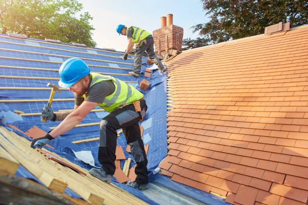 Best Skylight Installation and Repair  in Hebron, PA